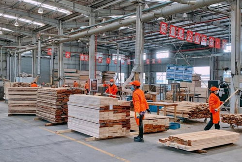 林产品公司安全有序推进复工复产 保障日用百货稳定供应